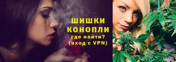 герыч Мегион