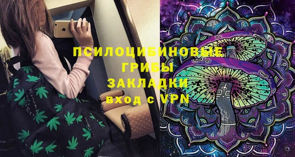 герыч Мегион