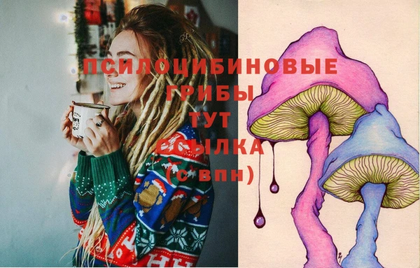 герыч Мегион
