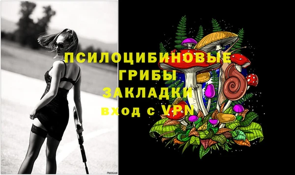 герыч Мегион