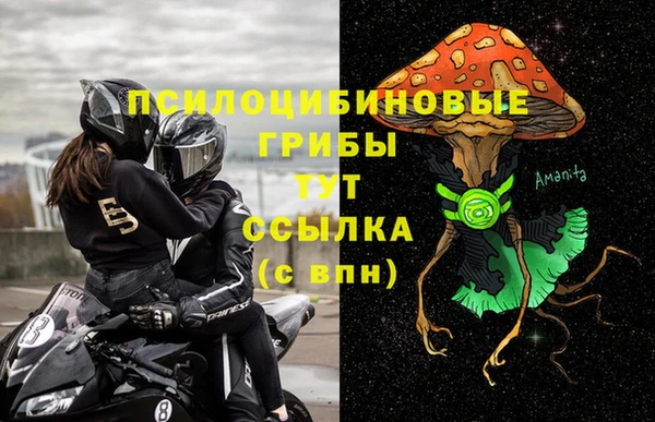 герыч Мегион