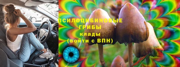 герыч Мегион