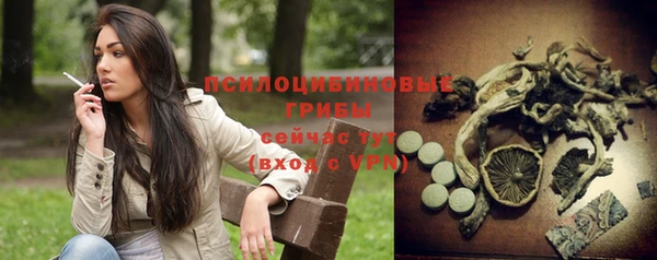 прущая мука Медногорск