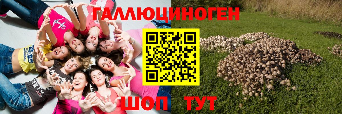 Псилоцибиновые грибы GOLDEN TEACHER Наро-Фоминск